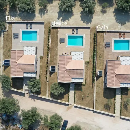 فيلة Liotopos ليكسوري